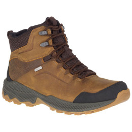 Чоловічі черевики Merrell Forestbound Mid WP