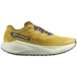 Чоловічі кросівки Salomon Aero Blaze 3 Grvl