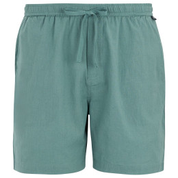Чоловічі шорти Regatta Hadlin Shorts блакитний Arctic