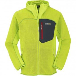 Чоловіча толстовка Regatta Cartersville