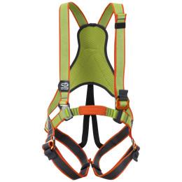 Celotělový dětský úvazek Climbing Technology Jungle Harness zelená green/grey