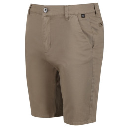 Чоловічі шорти Regatta Sandros Short бежевий