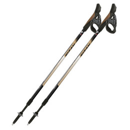 Палиці Fizan NW Speed