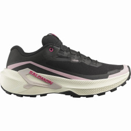 Жіночі кросівки Salomon Genesis 2 Gtx W
