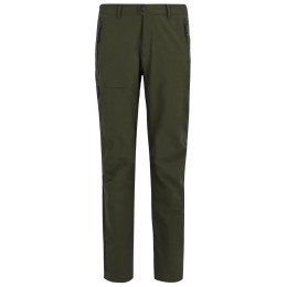 Чоловічі штани Regatta Highton Trousers II
