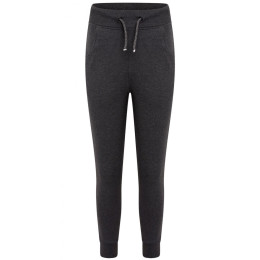 Дитячі спортивні штани Regatta Impassive Jogger темно-сірий