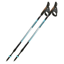 Палиці Fizan NW Speed