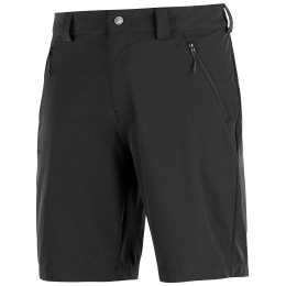 Чоловічі шорти Salomon Wayfarer LT Short M чорний Black