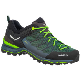 Чоловічі черевики Salewa Ms Mtn Trainer Lite Gtx