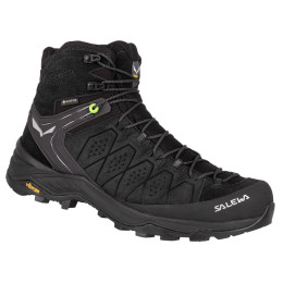 Чоловічі черевики Salewa Ms Alp Trainer 2 Mid Gtx