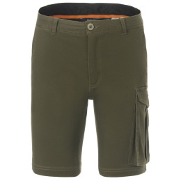 Чоловічі шорти Regatta Bendrick Shorts зелений Dark Khaki