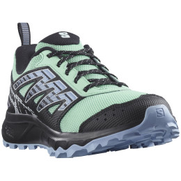 Жіночі черевики Salomon Wander чорний/зелений