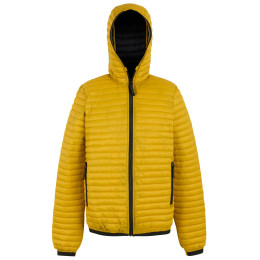 Чоловіча куртка Regatta Rigain