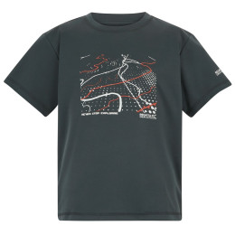 Дитяча футболка Regatta Alvarado Seal Grey сірий Seal Grey