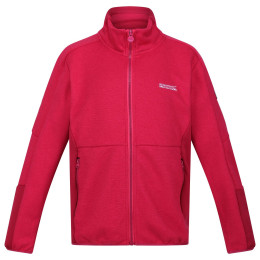 Дитяча толстовка Regatta Jr Highton FZ IV рожевий Berry Pink