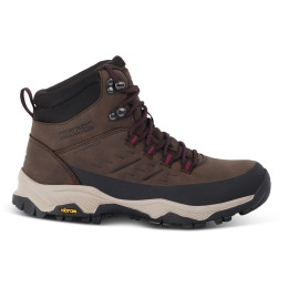 Жіночі черевики Regatta Womens Blake Boot коричневий Chtnt/DkPmnt