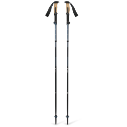 Трекінгові палиці Black Diamond Trail Vista FLZ
