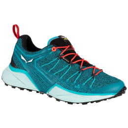 Жіночі черевики Salewa Ws Dropline Gtx