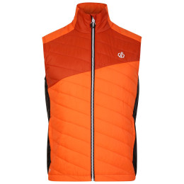 Чоловіча жилетка Dare 2b Touring Gilet помаранчевий Puffins Orange/Rooibos Tea
