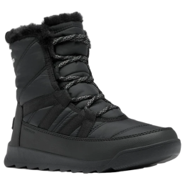 Жіночі зимові черевики Sorel Whitney™ II Plus Lace Wp