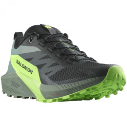 Чоловічі кросівки Salomon Sense Ride 5 чорний/зелений Black