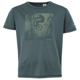 Дитяча футболка Regatta Alvarado IX