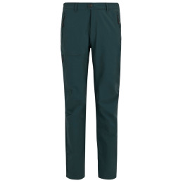 Чоловічі штани Regatta Highton Trousers II