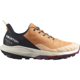 Жіночі туристичні черевики Salomon Outpulse Gtx W чорний/помаранчевий