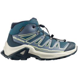 Дитячі черевики Salomon X Ultra Mid Gtx J Grisaille-Spellbound-Butterfly