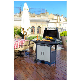 Гриль Campingaz 2 Series Classic EXS INT