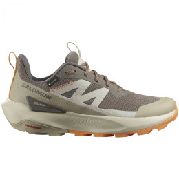 Жіночі трекінгові черевики Salomon Elixir Activ Gore-Tex коричневий Falcon