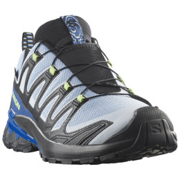 Чоловічі кросівки Salomon Xa Pro 3D V9 GTX Icon
