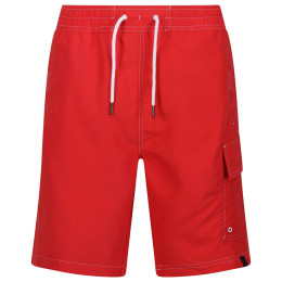 Чоловічі шорти Regatta Hotham BdShort IV