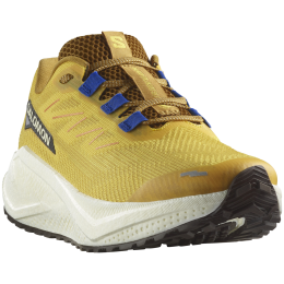 Чоловічі кросівки Salomon Aero Blaze 3 Grvl