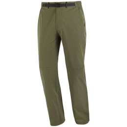 Чоловічі штани Salomon Wayfarer 2.0 Pants M зелений Grape Leaf