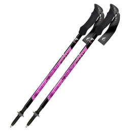 Трекінгові палиці Fizan Compact MS