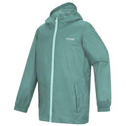 Дитяча куртка Regatta Kids’ Pack-It Jacket III Ivy Moss зелений Ivy Moss