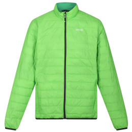 Чоловіча куртка Regatta Hillpack зелений Jasmine Green (Field Green)