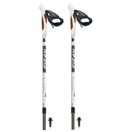 Палиці Fizan NW Fitness сірий/чорний