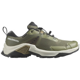 Чоловічі туристичні черевики Salomon X Raise 2 Gtx