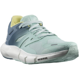 Жіночі черевики Salomon dámské boty Predict 2 блакитний