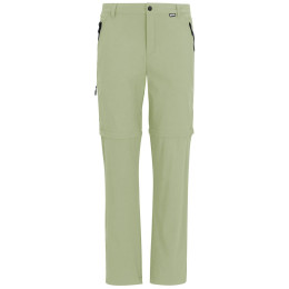 Чоловічі штани Regatta Anti-Insect Travel Light Z/O Trousers світло-зелений Light Sage
