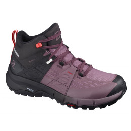 Жіночі черевики Salomon Odyssey Mid GTX W