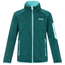 Дитяча толстовка Regatta Junior Newhill DrkForGlacGr зелений DrkForGlacGr