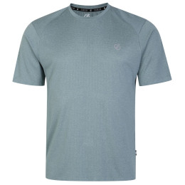 Чоловіча футболка Dare 2b Momentum Tee світло-сірий