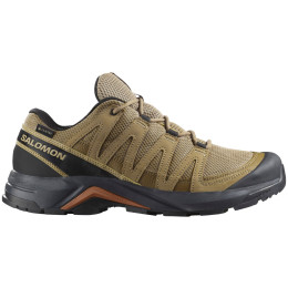 Чоловічі туристичні черевики Salomon X-Adventure Recon Gore Tex