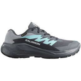 Жіночі черевики Salomon Alphaglide Gore-Tex сірий/синій Turbulence / Aruba Blue / Dark Navy