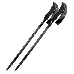 Трекінгові палиці Fizan Compact MS