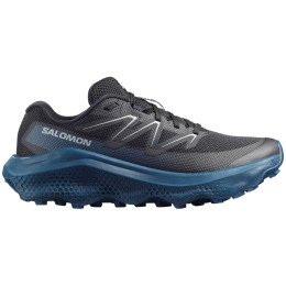 Чоловіче взуття Salomon Ultra Flow 2