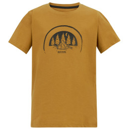 Дитяча футболка Regatta Bosley Wood Brown коричневий Wood Brown
